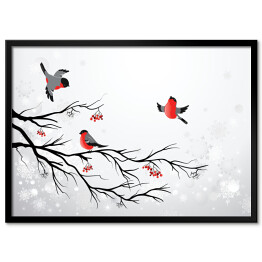 Plakat w ramie Gałąź i ptaki - zimowa ilustracja z gilami