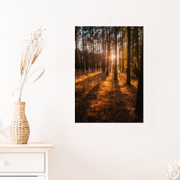 Plakat samoprzylepny Złoty las. Krajobraz z zachodem słońca w złocistych barwach