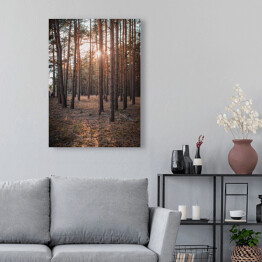 Obraz na płótnie Złoty las. Zachodzące słońce w zamglonym lesie jesienią