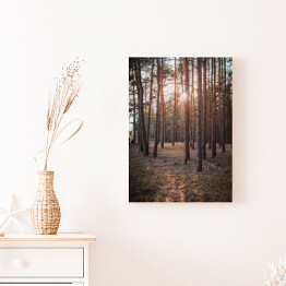 Obraz na płótnie Złoty las. Zachodzące słońce w zamglonym lesie jesienią