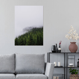Plakat Wzgórze porośnięte lasem, w połowie pokryte mgłą