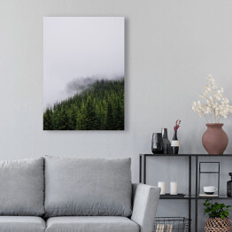 Obraz na płótnie Wzgórze porośnięte lasem, w połowie pokryte mgłą