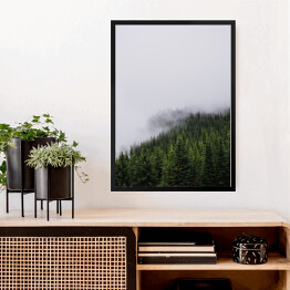 Obraz w ramie Wzgórze porośnięte lasem, w połowie pokryte mgłą