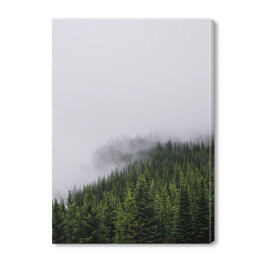 Wzgórze porośnięte lasem, w połowie pokryte mgłą