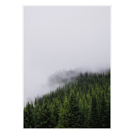 Plakat samoprzylepny Wzgórze porośnięte lasem, w połowie pokryte mgłą