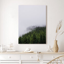 Obraz na płótnie Wzgórze porośnięte lasem, w połowie pokryte mgłą