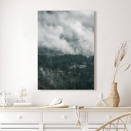 Obraz na płótnie Mgła powoli opadająca na las w pochmurny dzień
