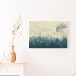 Obraz na płótnie Księżyc nad lasem we mgle 3D