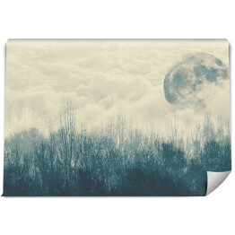 Fototapeta winylowa zmywalna Księżyc nad lasem we mgle 3D