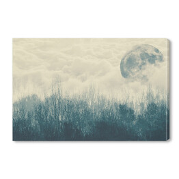 Obraz na płótnie Księżyc nad lasem we mgle 3D