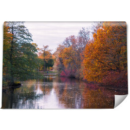 Fototapeta samoprzylepna Bajkowy jesienny las nad rzeką