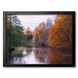 Obraz w ramie Bajkowy jesienny las nad rzeką