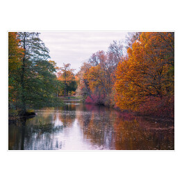 Bajkowy jesienny las nad rzeką