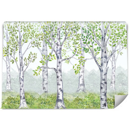 Fototapeta samoprzylepna Akwarelowy las z brzozami