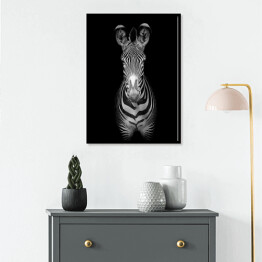 Plakat w ramie Zebra na ciemnym tle