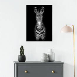 Plakat samoprzylepny Zebra na ciemnym tle