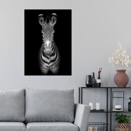 Plakat samoprzylepny Zebra na ciemnym tle