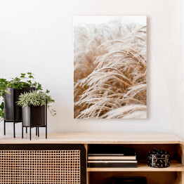 Obraz na płótnie Dekoracyjne trawy pampasowe w ujęciu bokeh
