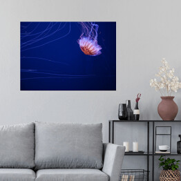 Plakat Meduza na dnie oceanu - dekoracja z niebieską poświatą
