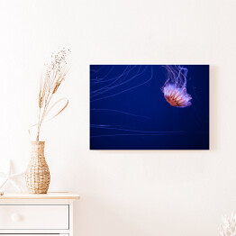 Obraz na płótnie Meduza na dnie oceanu - dekoracja z niebieską poświatą