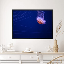 Obraz w ramie Meduza na dnie oceanu - dekoracja z niebieską poświatą