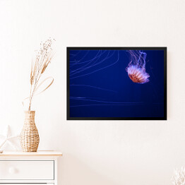 Obraz w ramie Meduza na dnie oceanu - dekoracja z niebieską poświatą
