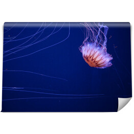 Fototapeta winylowa zmywalna Meduza na dnie oceanu - dekoracja z niebieską poświatą