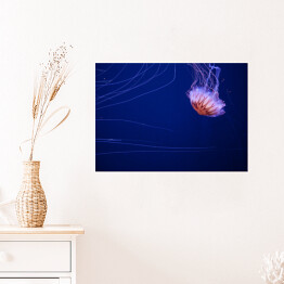 Plakat Meduza na dnie oceanu - dekoracja z niebieską poświatą