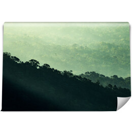 Fototapeta winylowa zmywalna widok na tropikalny krajobraz leśny, sceneria przyrody w koncepcji spa relaks i leczenie wolności, wellness w parku dżungli