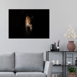 Plakat samoprzylepny Groźny wzrok geparda w ciemnościach