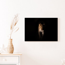 Obraz na płótnie Groźny wzrok geparda w ciemnościach