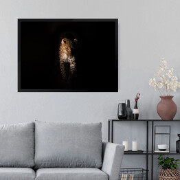 Obraz w ramie Groźny wzrok geparda w ciemnościach