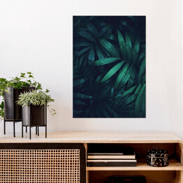 Plakat samoprzylepny Butelkowa zieleń natury. Egzotyczne duże zielone liście palmowe