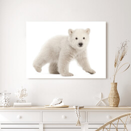 Obraz na płótnie Biały niedźwiedź polarny