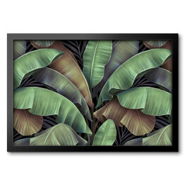 Obraz w ramie Kolaż z akwarelowych liści bananowca na ciemnym tle
