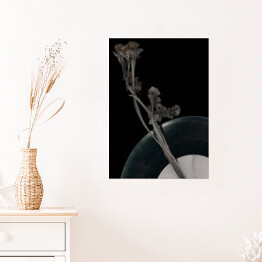 Plakat samoprzylepny Zasuszony kwiat i płyta winylowa