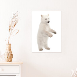 Biały niedźwiedź polarny stojący na dwóch łapach