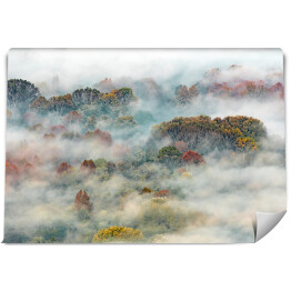 Fototapeta winylowa zmywalna Gęsta mgła opadająca z zalesionego zbocza