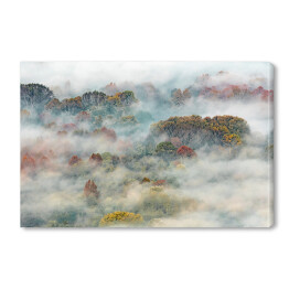Obraz na płótnie Gęsta mgła opadająca z zalesionego zbocza
