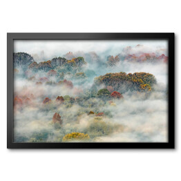 Obraz w ramie Gęsta mgła opadająca z zalesionego zbocza
