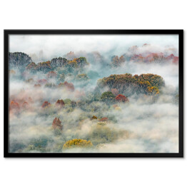 Plakat w ramie Gęsta mgła opadająca z zalesionego zbocza