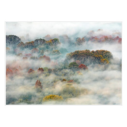 Plakat samoprzylepny Gęsta mgła opadająca z zalesionego zbocza