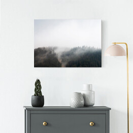 Obraz na płótnie Mroczna mgła nad lasem w Decollatura