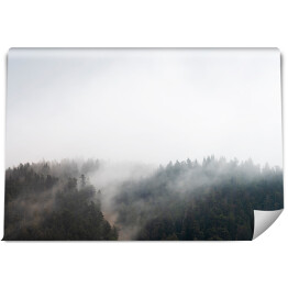 Fototapeta samoprzylepna Mroczna mgła nad lasem w Decollatura