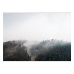 Plakat samoprzylepny Mroczna mgła nad lasem w Decollatura