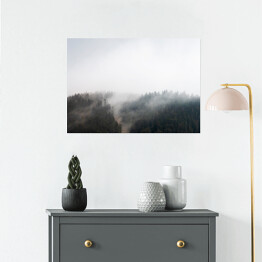 Plakat Mroczna mgła nad lasem w Decollatura