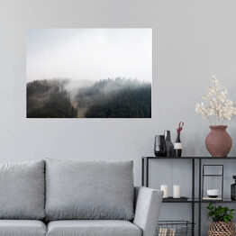 Plakat samoprzylepny Mroczna mgła nad lasem w Decollatura