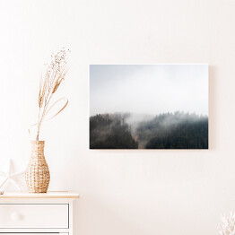 Obraz na płótnie Mroczna mgła nad lasem w Decollatura