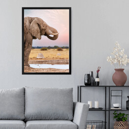 Obraz w ramie Głowa afrykańskiego słonia na tle horyzontu