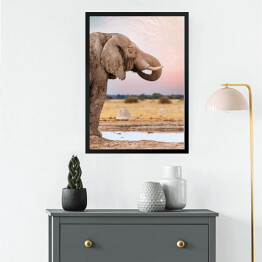Obraz w ramie Głowa afrykańskiego słonia na tle horyzontu
